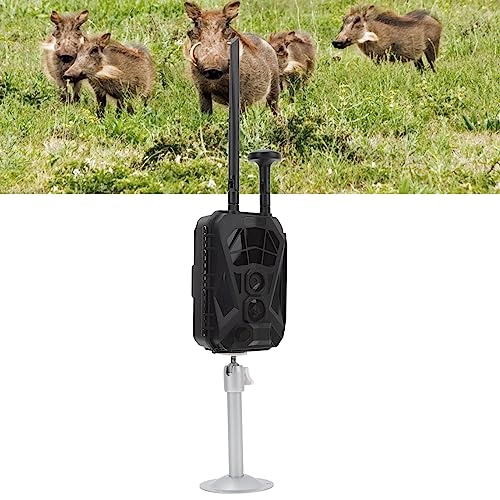 x2kvo01sut - 4G 36MP