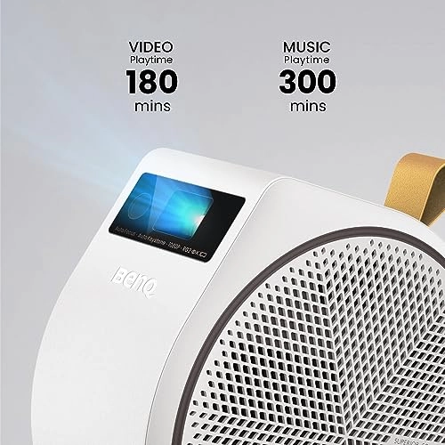 GV31 300 ANSI lumens