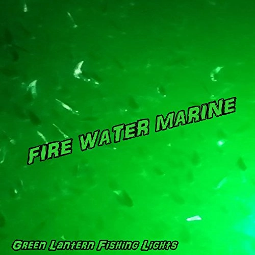 Underwater Submersible Night Fishing Light - 15 foot