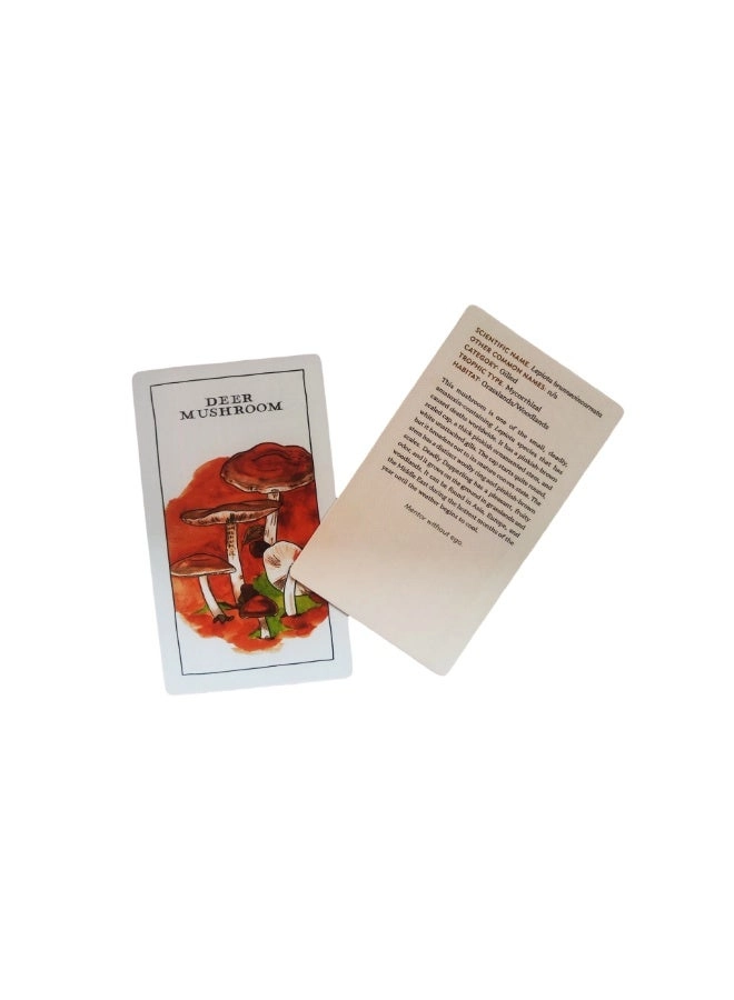 Mushroom Observer Oracle