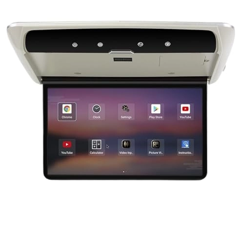 Roofmount LCD Monitor - 19in