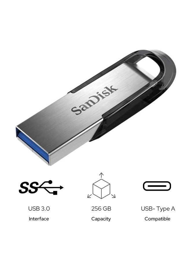 SanDisk Ultra Flair 256GB