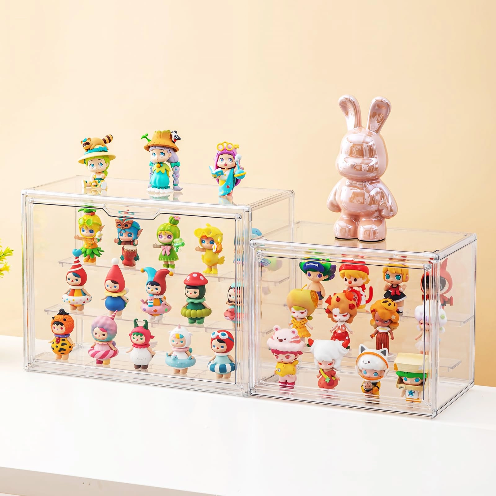 Display Case - 2 Pack Clear Small (DISPLAYCASE)