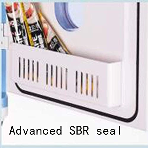 Portable Mini Refrigerator - 12V 220V