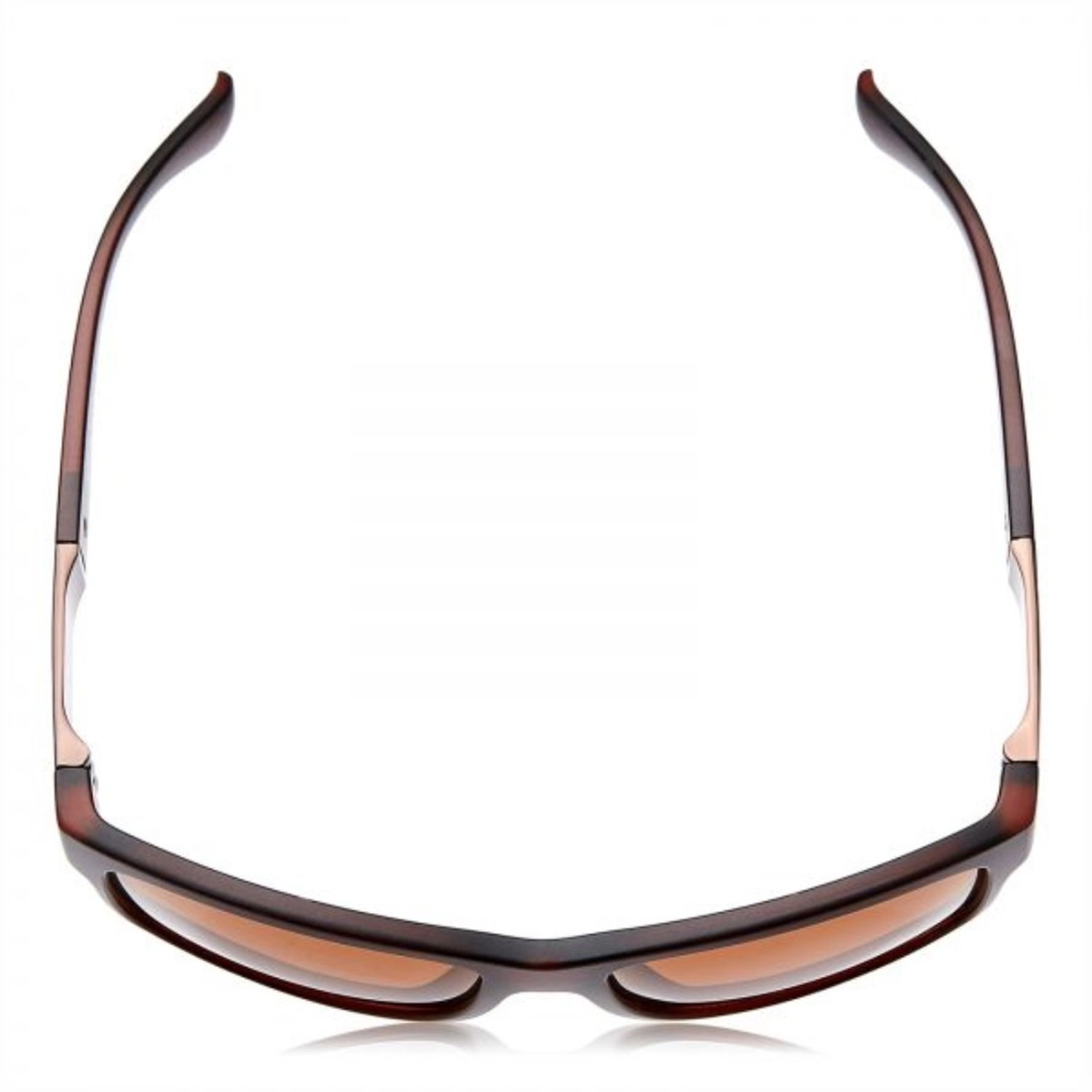 Wayfarer - 58-17-140 mm Brown