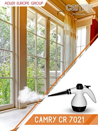 Dampfreiniger - 350 millilitre