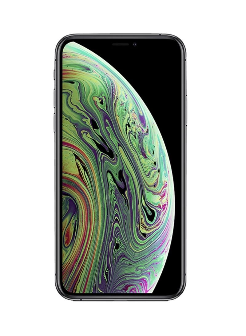 (Renewed) iPhone XS - 256GB