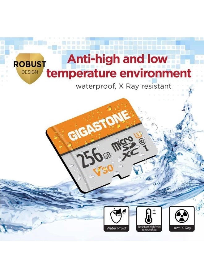 MicroSDXC Memory Card - 256GB + SD Adapter