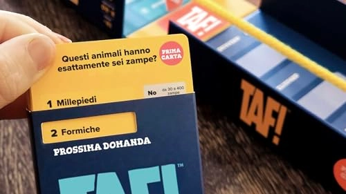 TAF! (Italian)