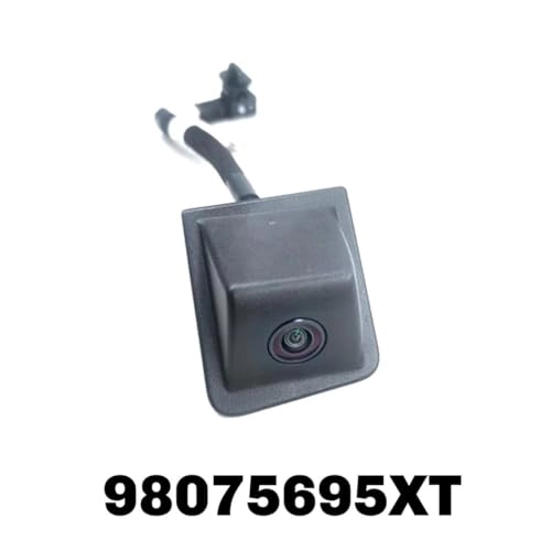 Rear View Auxiliary Camera - Night vision