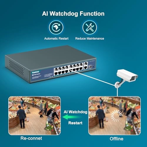 Ethernet Switch 18-ports