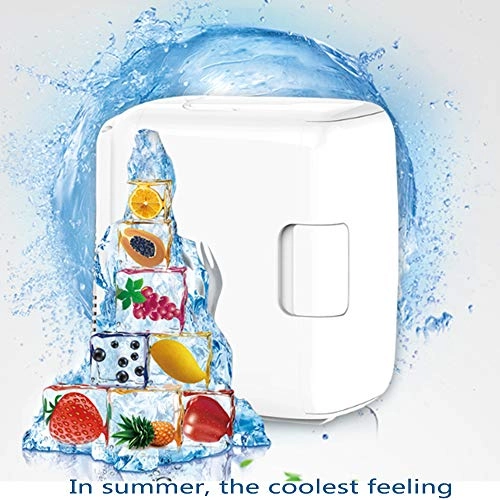 Portable Refrigerator