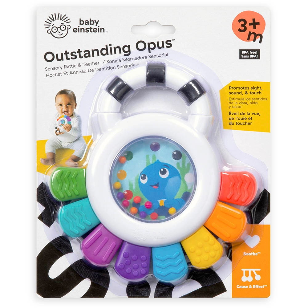 Sensory Teether Toy