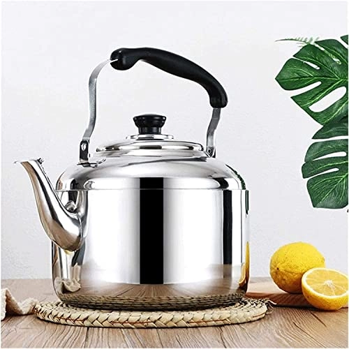 Stovetop Induction Whistling Kettle - 5L