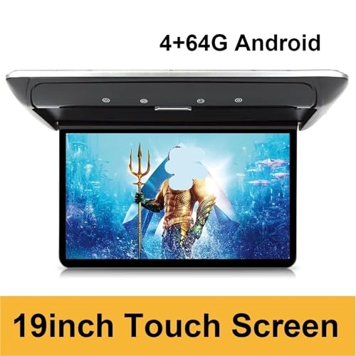 Roofmount LCD Monitor - 19in