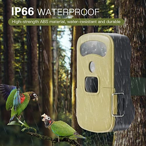 Trail Camera - 1MP