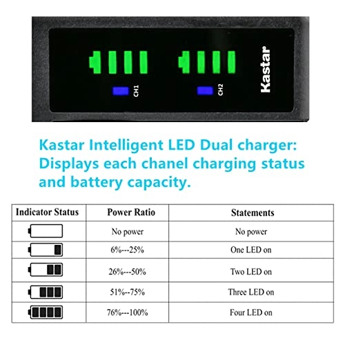Battery and Smart USB Charger - 2100mAh